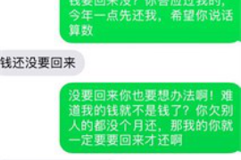 沈丘为什么选择专业追讨公司来处理您的债务纠纷？